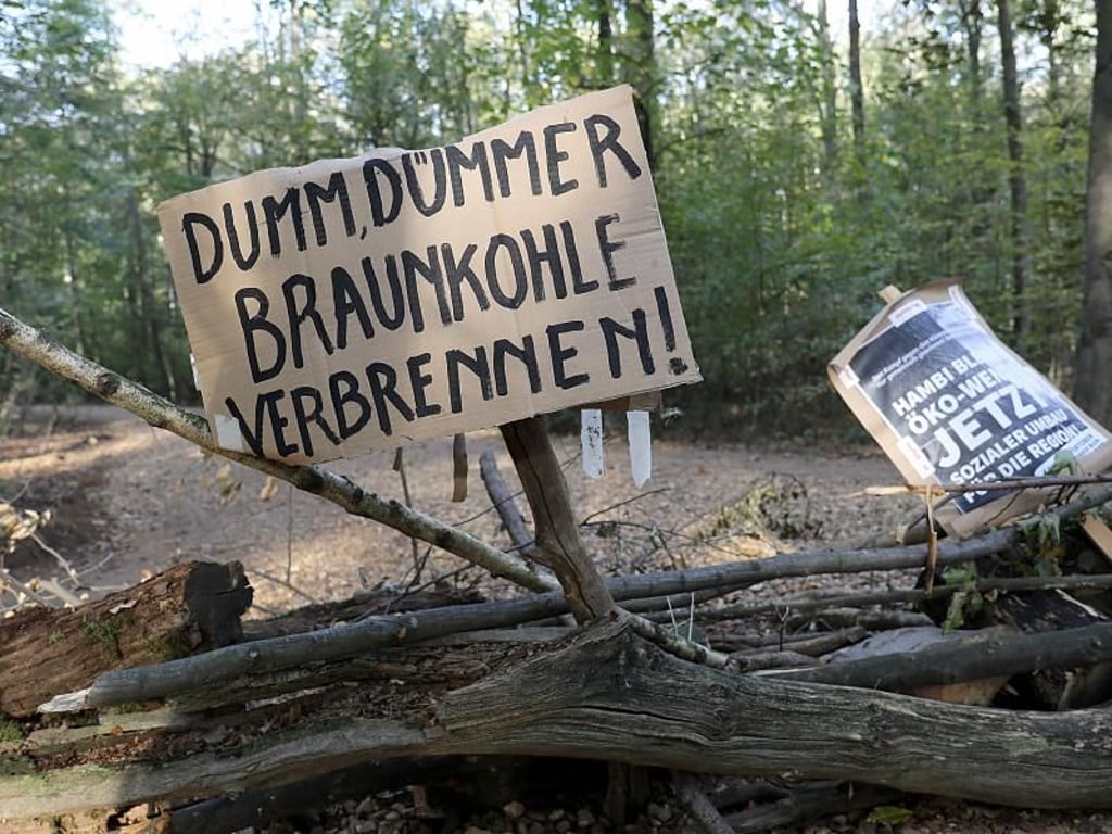 Plakate hängen an Barrikaden im Hambacher Forst. Foto: Oliver Berg