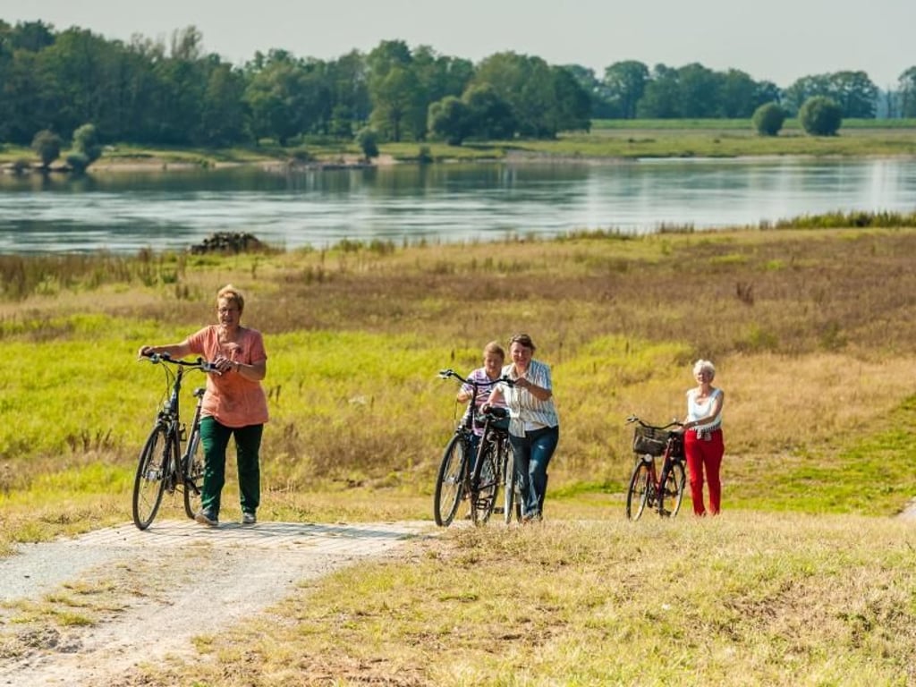 Zum Radfahren ideal: Mitten im Biosphärenreservat haben Radler die Elbe durchgehend im Blick. Foto: Tourismusverband Prignitz/Markus Tiemann