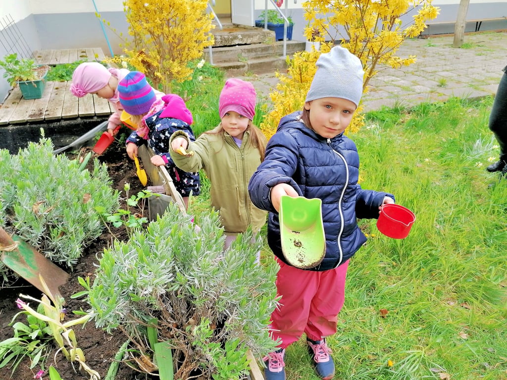 Emelie und Emelie sind schon fündig geworden, Sidney und Mathilda (von rechts) suchen noch nach Regenwürmern.