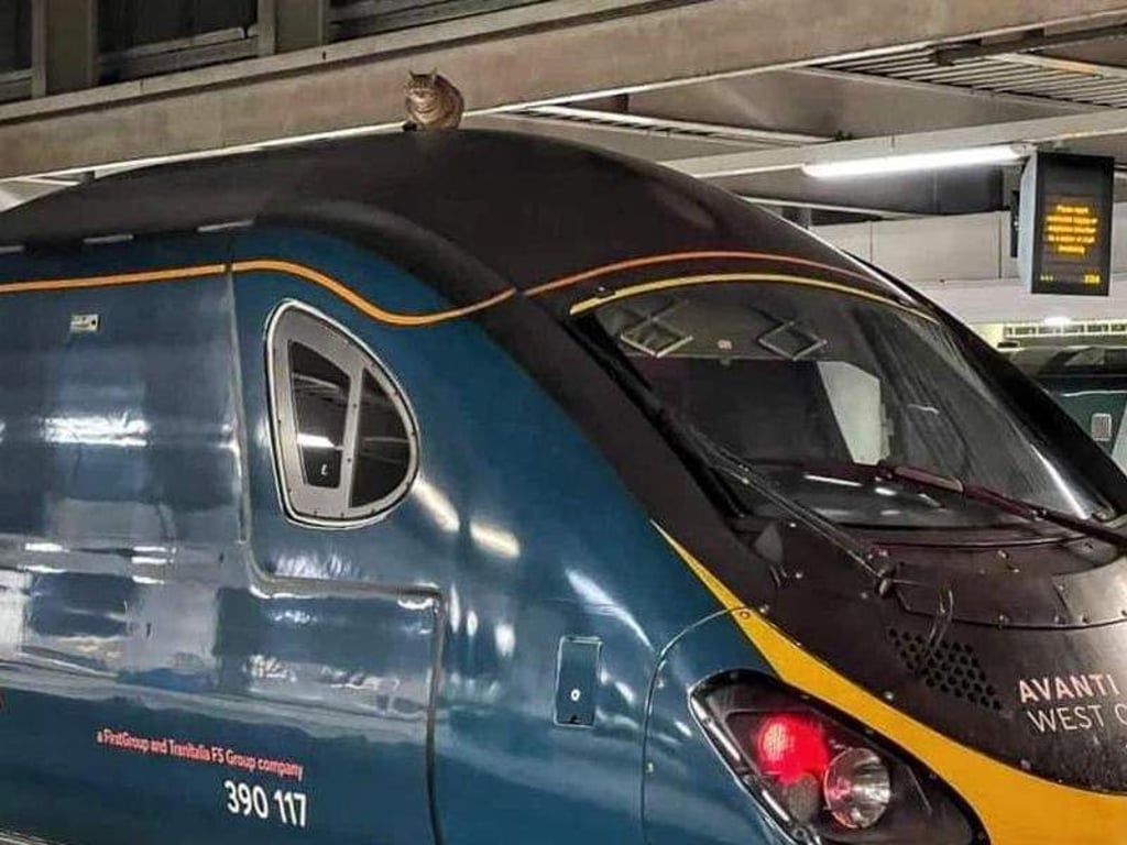 Network Rail