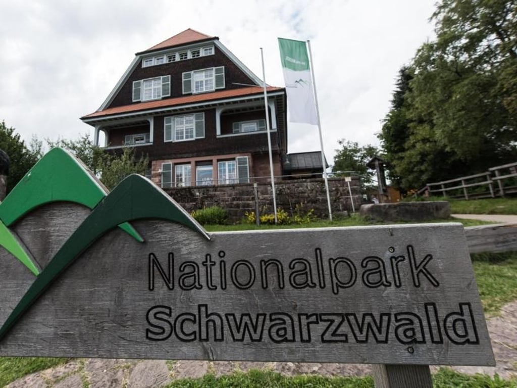 Bei Seebach geht es in den Nationalpark Schwarzwald. Foto: Patrick Seeger