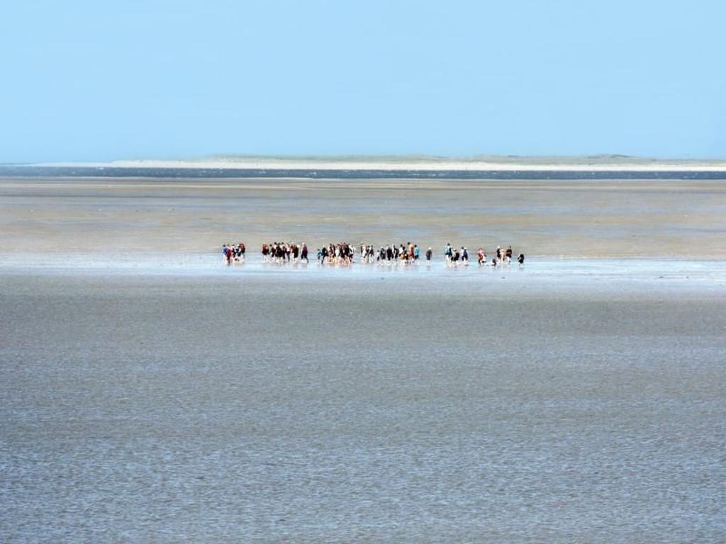 Vor Föhr kann man gut Wattwandern - eine Wanderung führt zum Beispiel zur Nachbarinsel Amrum. Foto: Föhr Tourismus GmbH