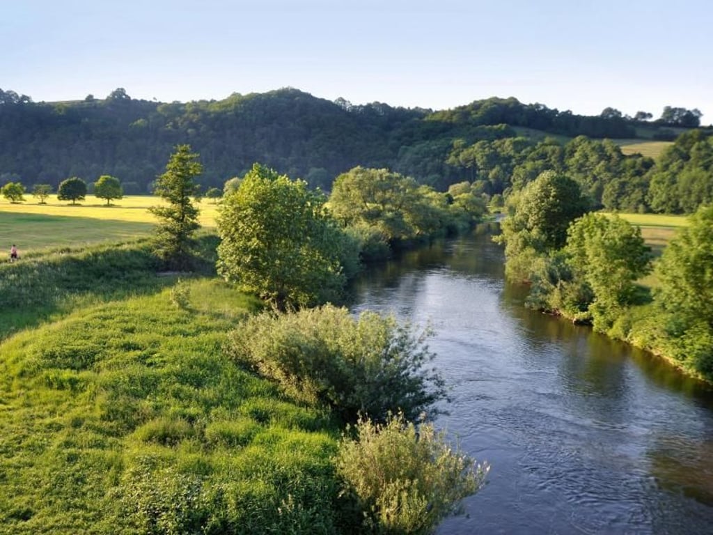 Schmale Pfade führen auf fast 200 Kilometern von Siegburg nach Mudersbach entlang der Sieg. Foto: Sedlmeier/Natursteig Sieg/dpa-tmn