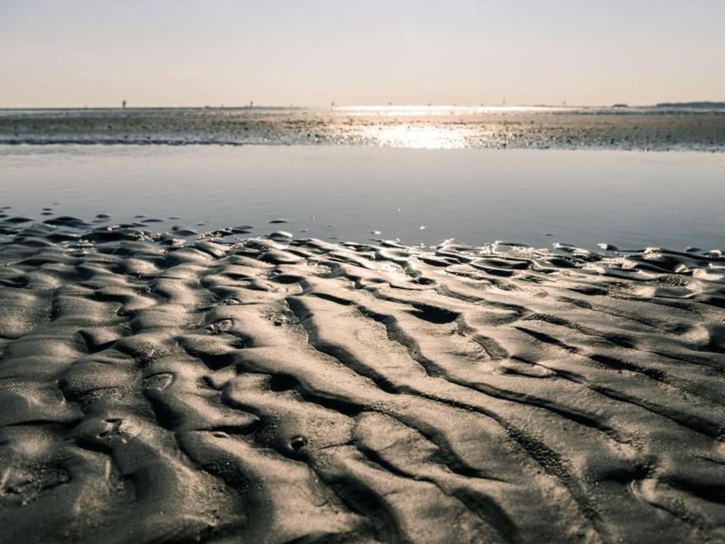 Blick auf einen Priel im Wattenmeer zwischen Cuxhaven und der Insel Neuwerk. Foto: Mohssen Assanimoghaddam
