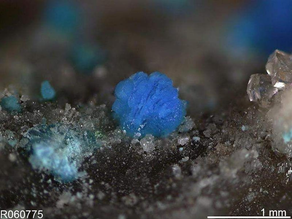 Nevadait bildet hellgrüne bis türkise Kügelchen und ist eine echte Rarität. Foto: Robert Downs/University of Nevada