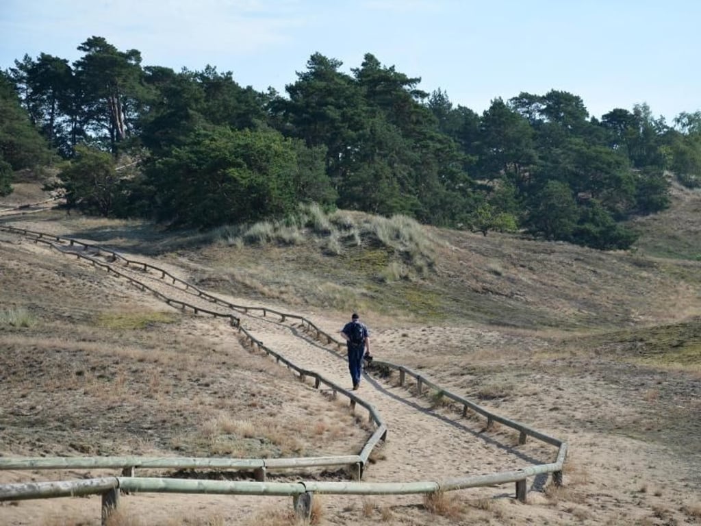 In der Nähe von Klein Schmölen können Urlauber durch eine Dünenlandschaft spazieren. Foto: Andreas Heimann