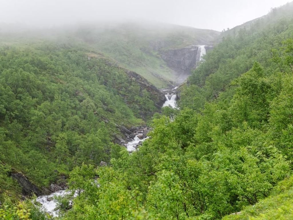 Der erste Anstieg auf dem Weg zur Gjevilvasshytta: Der Blick reicht noch bis zu einem wilden Wasserfall, doch die höheren Berge liegen bereits im Nebel. Foto: Philipp Laage