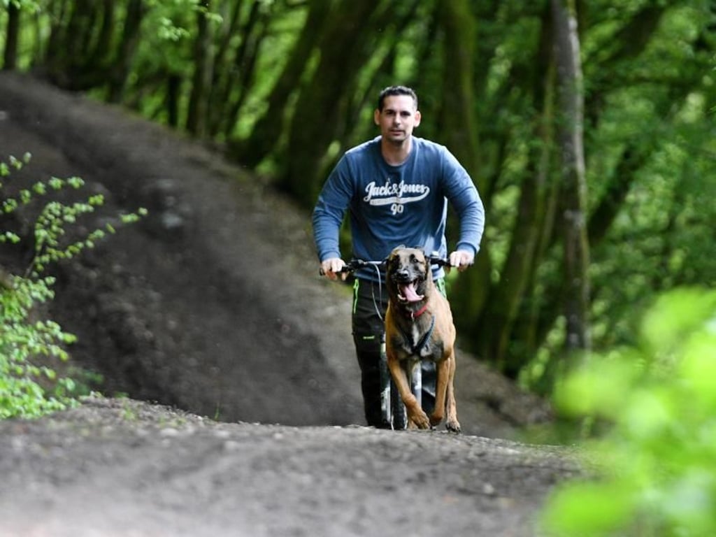 Mario Reitz lässt sich auf einem "Dogscooter" von seiner belgischen Schäferhündin Kira ziehen. Foto: Harald Tittel