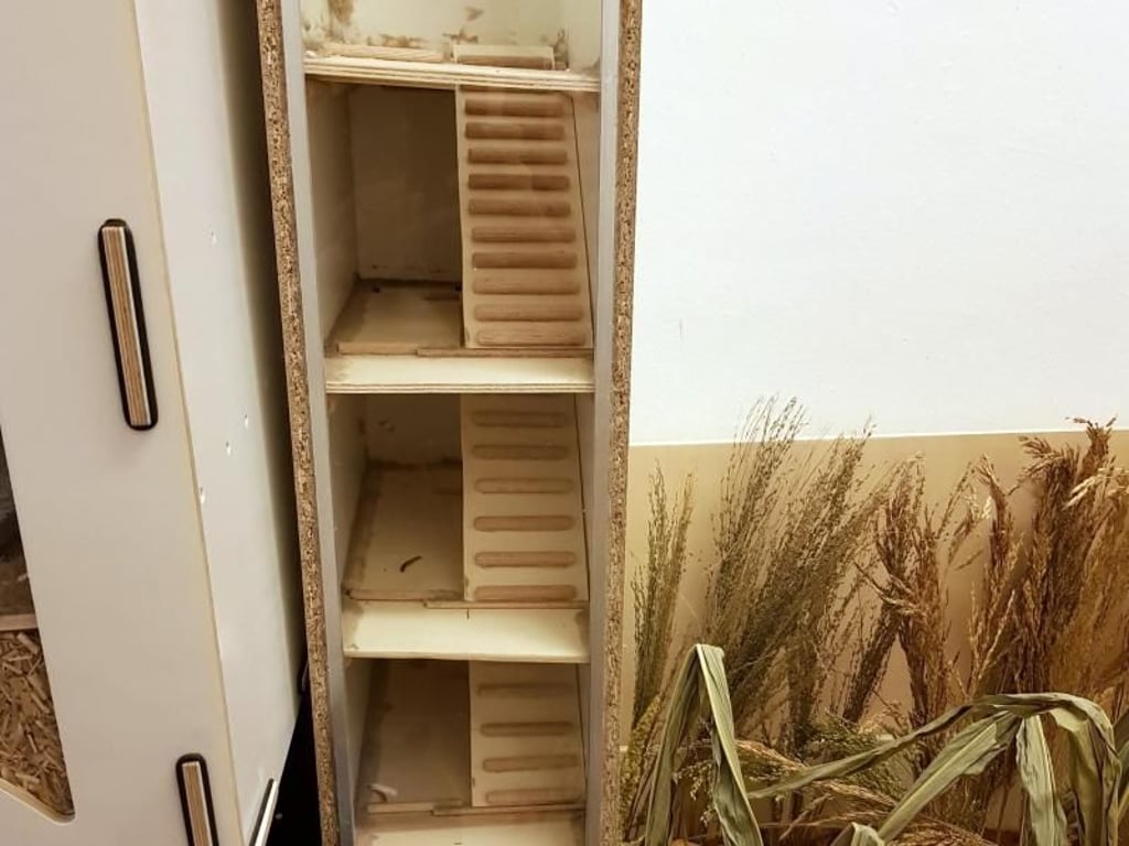 ber mehrere Etagen führt dieses Hamstertreppenhaus. Foto: Tina Langen