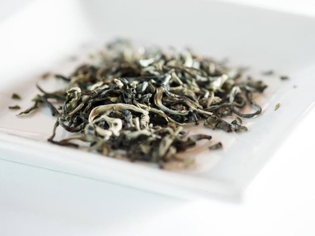 Typisch für weißen Tee sind die vergleichsweise großen Blätter (hier die Sorte White Yunnan Silver Tips). Foto: Franziska Gabbert