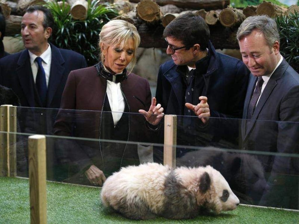 Brigitte Macron, hier im Gespräch mit Zoo-Leiter Rodolphe Delord (M), bei der Taufe des kleinen Pandabären. Foto: Thibault Camus