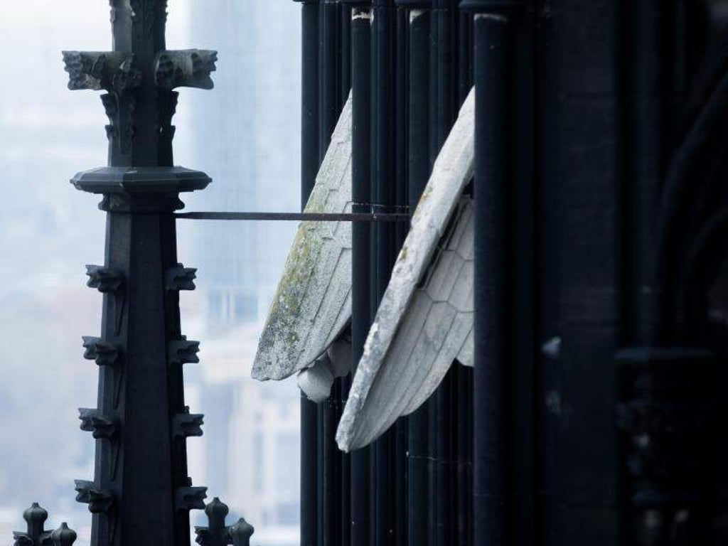 Zwei Engelsflügel am Nordturm des Kölner Doms. Foto: Rolf Vennenbernd