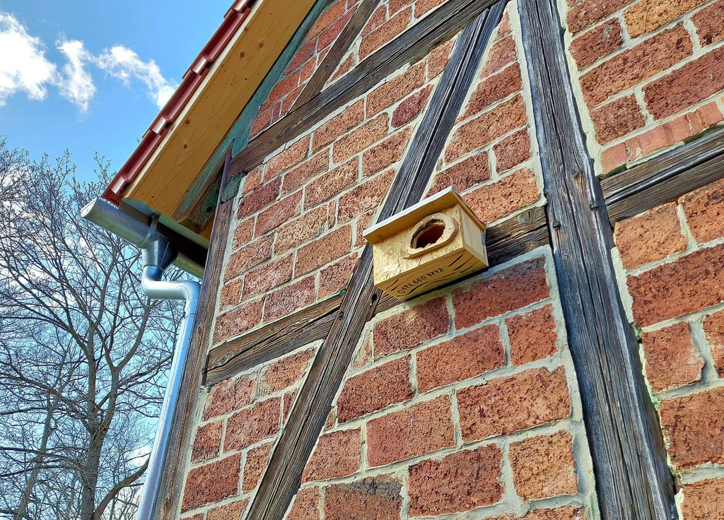Einen Nistkasten, der sich etwa für Mauersegler eignet, hat Landschaftsgestalter Klaus Rieche an einem Haus am Park in Allrode montiert.