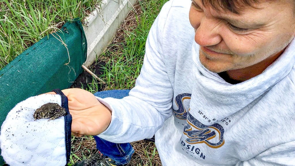 Steve Hahnemann vom BUND zählt in den Froser Seeländereien Amphibien. In einem Pilotprojekt sollen Gewässer und Tiere erfasst werden.
