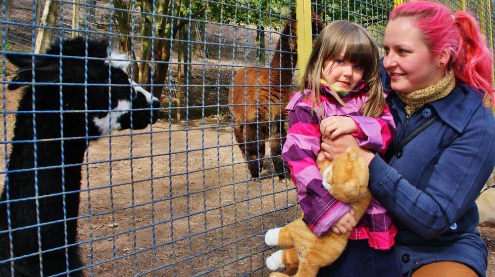 Annalena und Patentante Susann Mikulski bei den Alpakas im Tierpark Walbeck.