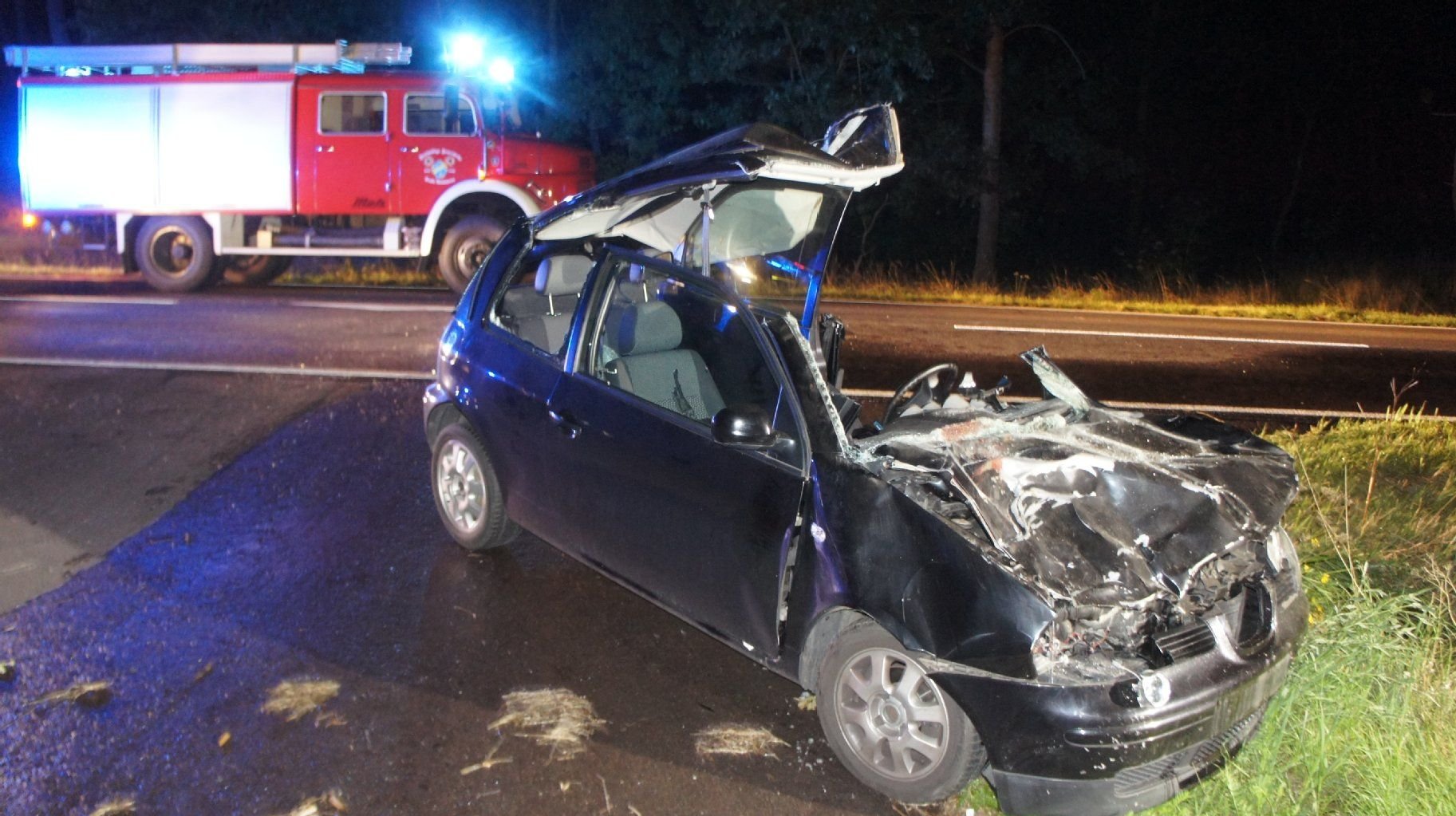 Das Auto nach dem Zusammenstoß mit dem Pferd.