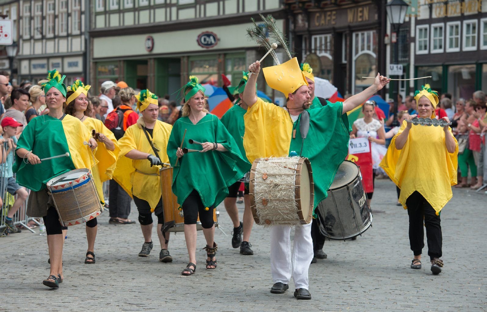 Festumzug auf dem Sachsen-Anhalt-Tag 2014 in Wernigerode