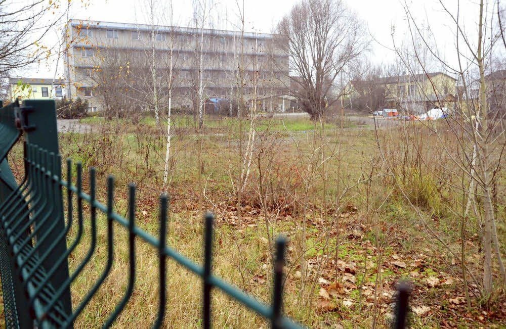 Neustadt als verlassener und überwucherter Themenpark des industriellen Wohnungsbaus?
