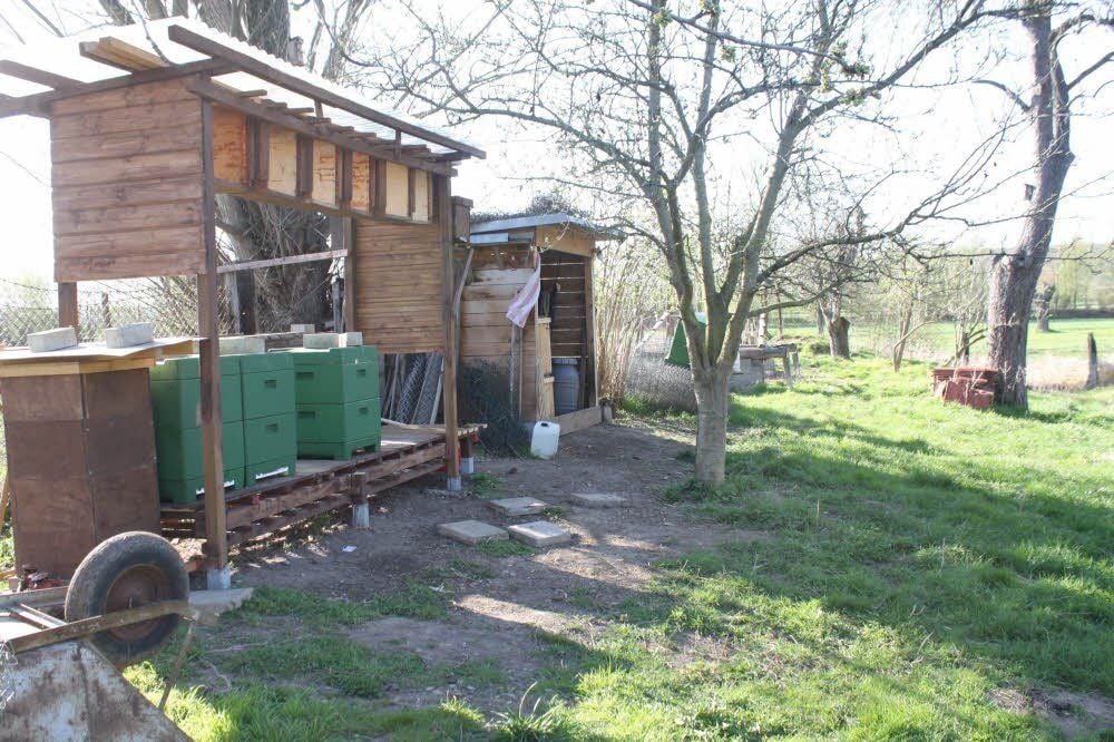 Für seine Beuten mit den Bienen (grüne Boxen) hatte Jens-Peter Zander einen Unterstand auf einem eingezäunten Gelände eingerichtet.