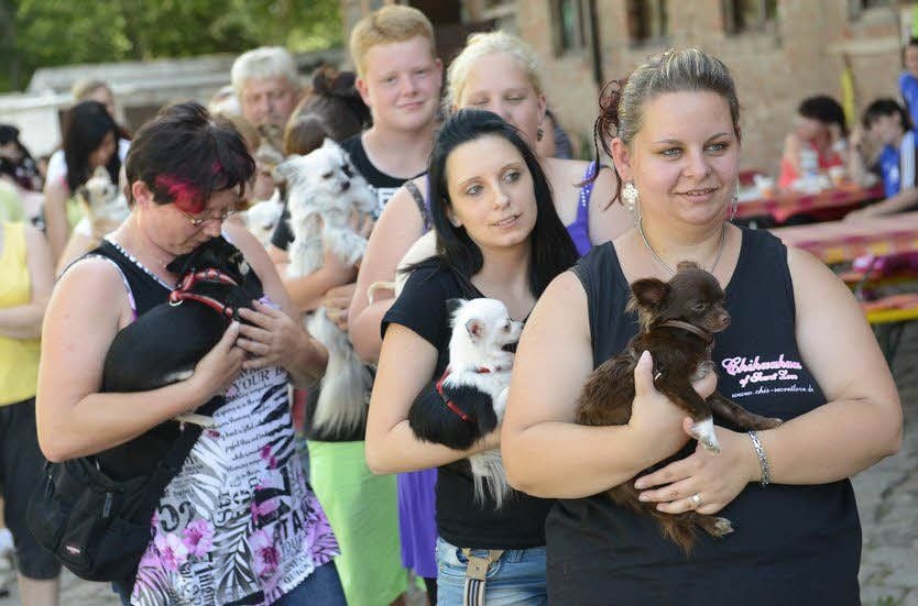 Juliane Hinkelmann ist gespannt, wie viele Chihuahuas dieses Mal dabei sein werden.