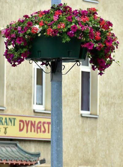 Die Blumenampel in der Jüdenstraße ist verschwunden. Der Schaden beläuft sich auf etwa 400 Euro.