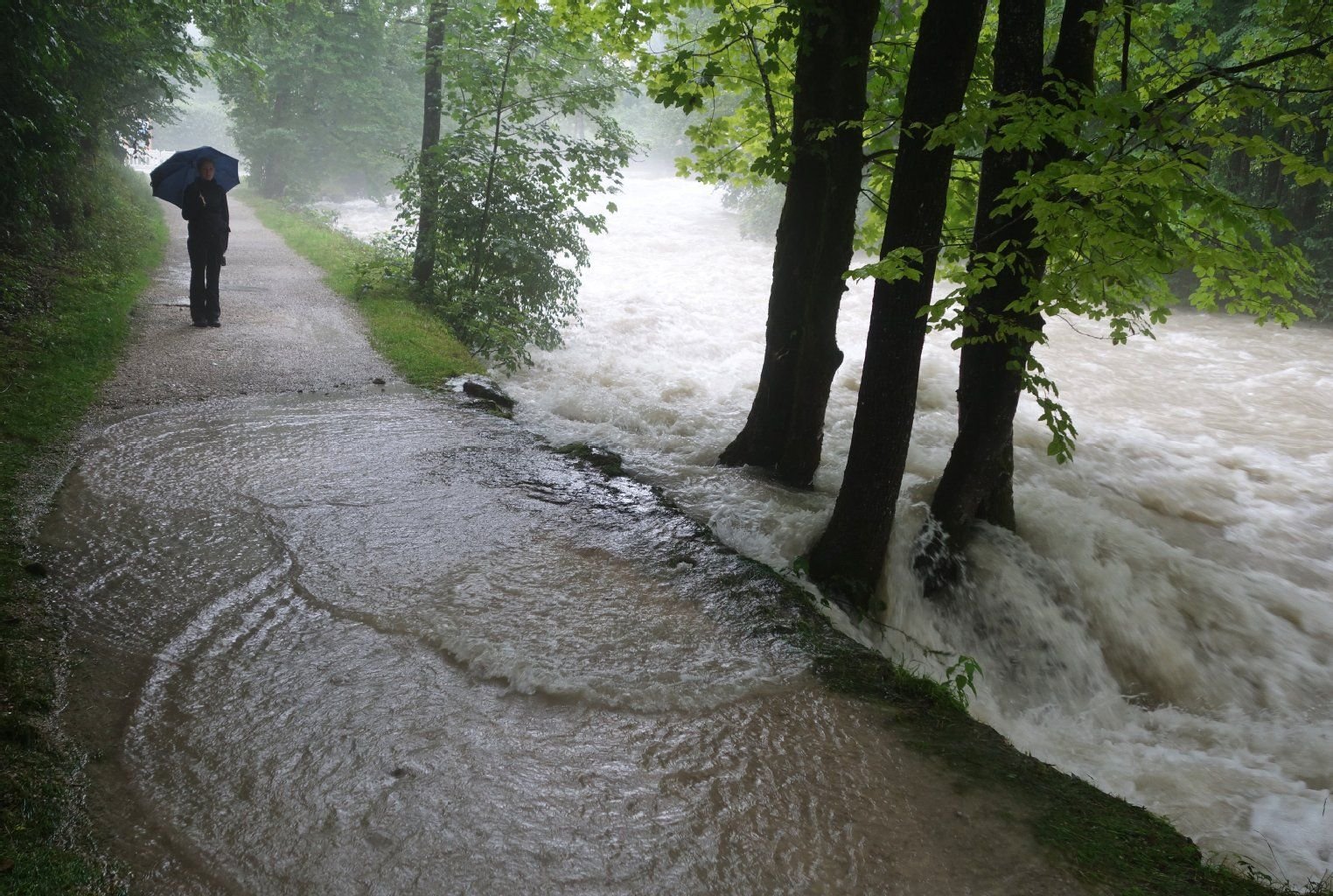 Eine Touristin mit Regenschirm steht in Schönau am Königssee (Bayern) am Ufer des Hochwasser führenden Flusses Königsseer Ache.
