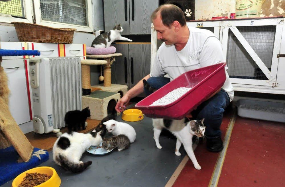 Roland Erler versorgt die Katzen im Tierheim Weißenfels, damit soll es am Jahresende vorbei sein.