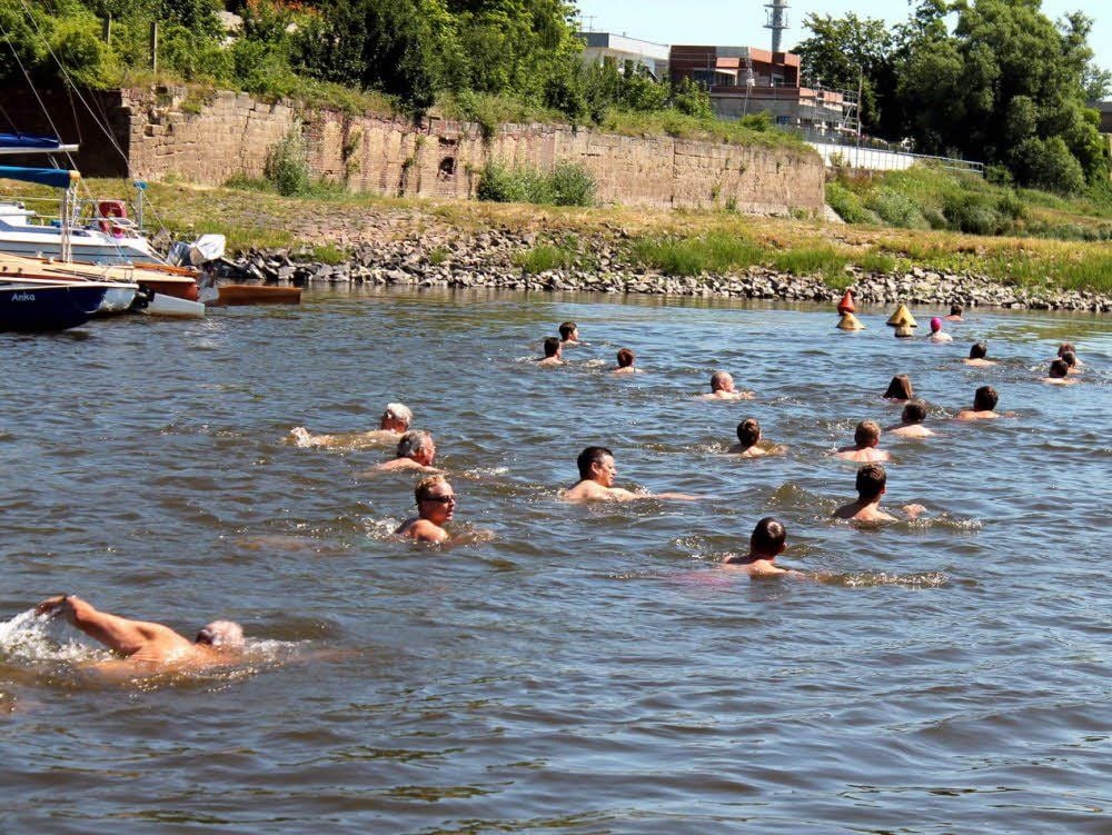 Etwa 30 Wagemutige nahmen die Einladung der Wassersportgemeinschaft zum Elbeschwimmen an.