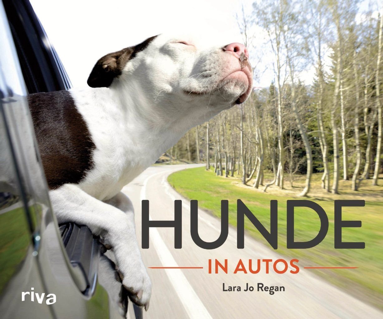 „Hunde in Autos“ – in dem Bildband von Lara Jo Regan sieht man ausnahmslos vier Pfoten auf vier Rädern.