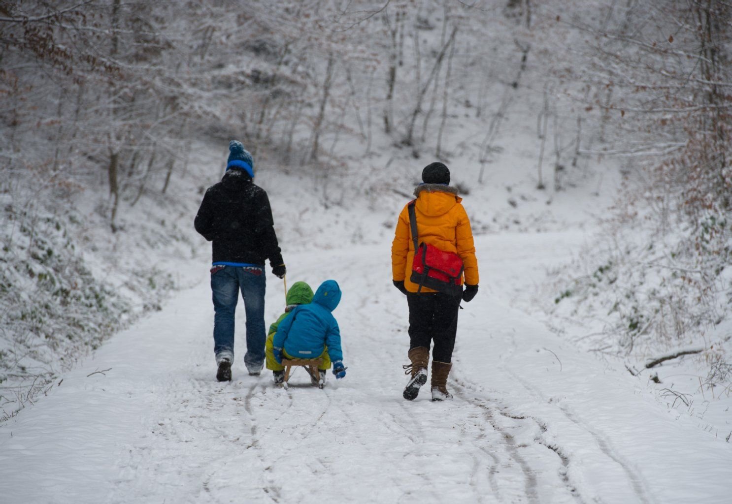 In der Nacht zieht ein Schneegebiet auch über Sachsen-Anhalt.