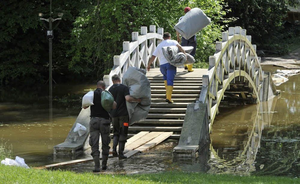 Im Luisium laufen am 7. Juni Sicherungsmaßnahmen. Teile des Parks stehen schon unter Wasser.