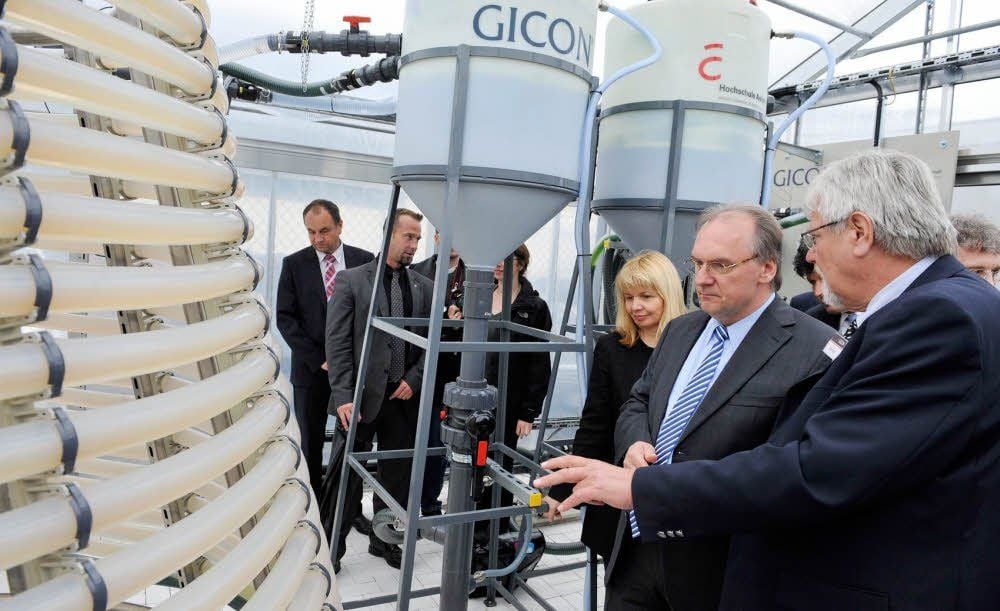 Ministerpräsident Reiner Haseloff (2. v. r) lässt sich von Dr. Fritz Cotta von der Firma Gicon und Prof. Carola Griehl die Mikroalgenplattform erklären.