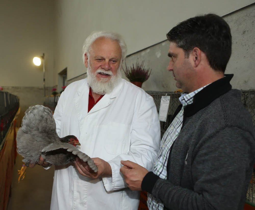 Hermann Kampers (links) und Frank Osterloh begutachten eines der Tiere im E-Werk.