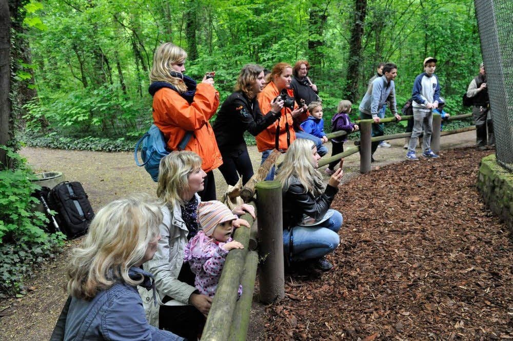 Die ersten Neugierigen am Anlagenrand - Besucher und Tierparkmitarbeiter.