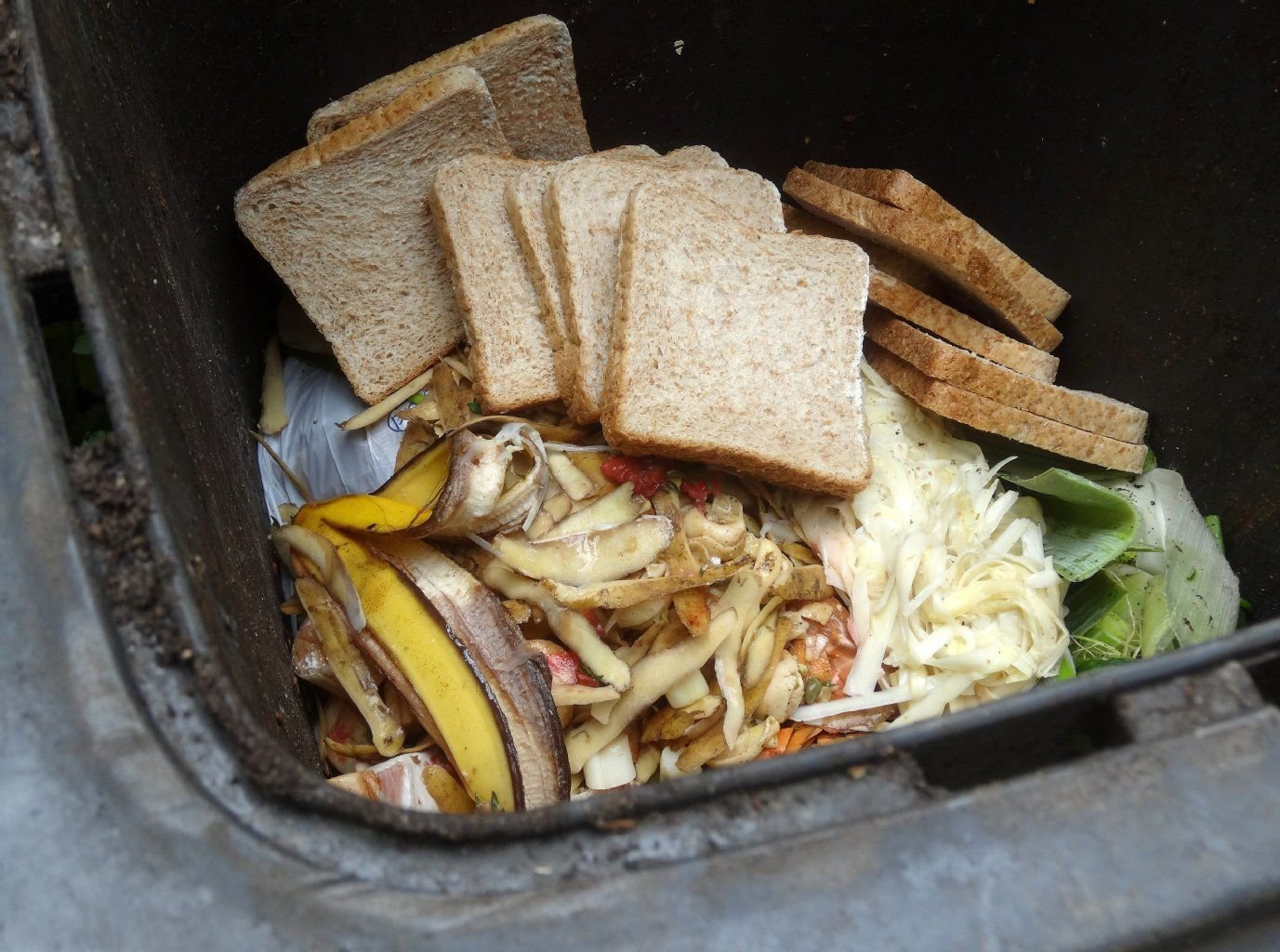 Der französische Großhandel darf unverkaufte Lebensmittel nicht mehr wegschmeißen.