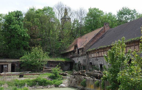 Das Gelände auf dem Burgberg ist verwahrlost.