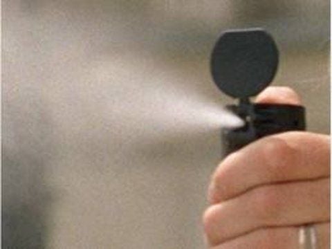 Im Harz musste eine Schule wegen Pfefferspray evakuiert werden.