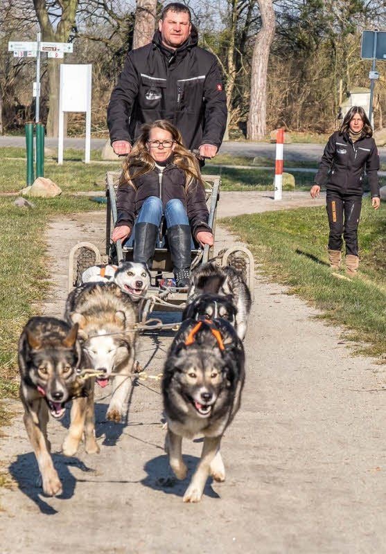 Das Gespann aus Schleesen: Silvio Spruth und Lisa Wermke düsen mit Trainingswagen und sechs Hunden am Parkrand entlang.