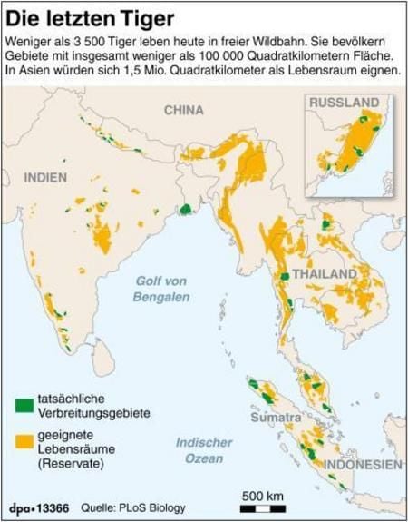 Verbreitungsgebiete der letzten Tiger (GRAFIK: DPA)