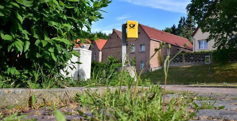 Dass auf Wegen und Plätzen in vielen Orten im Burgenlandkreis soviel Unkraut wächst, sorgt für Unzufriedenheit.