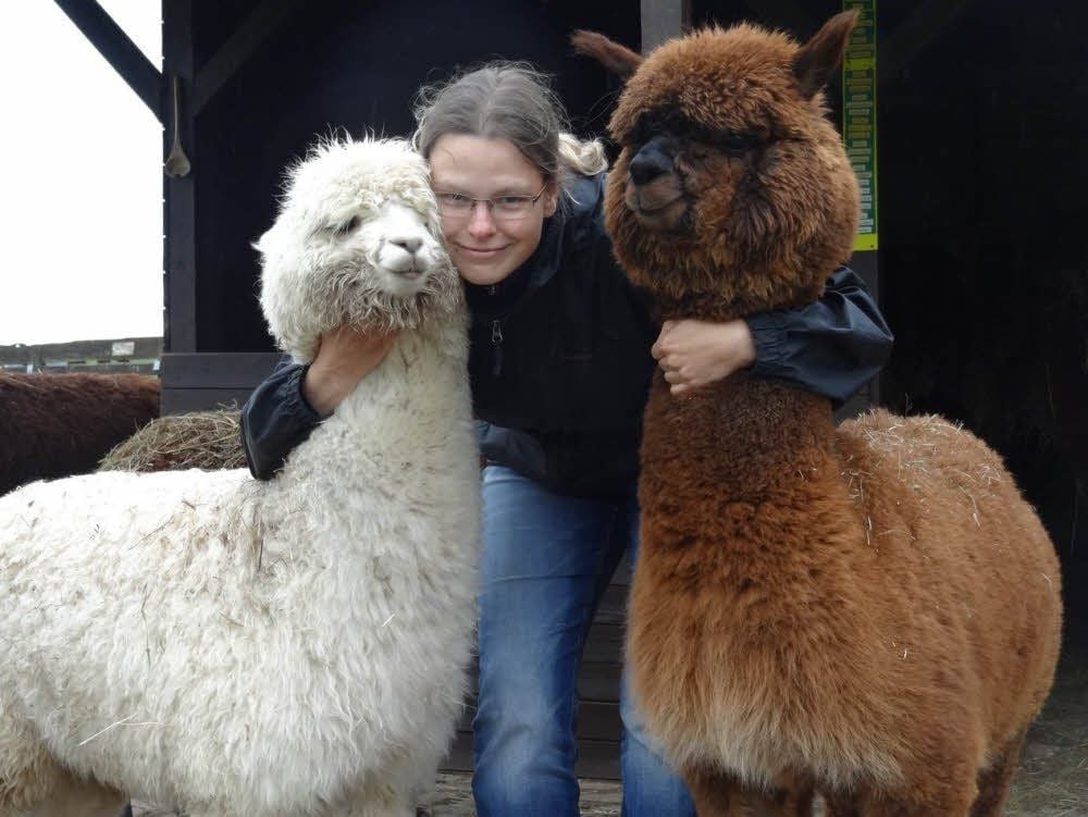 Ulrike Böttcher mit der weißen Alpakastute Maira und der braunen Milva. Aus Mansfeld kam Maira erst vor vier Wochen nach Vockerode.