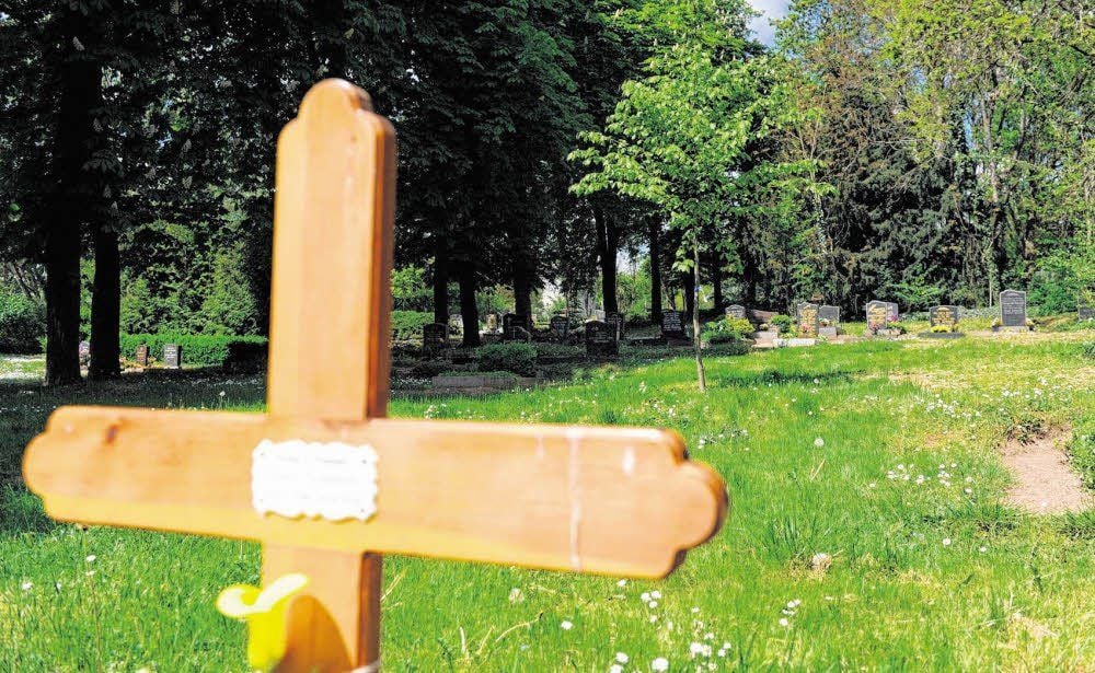 Auf dem Friedhof in Friedeburg sind bereits Baumbestattungen möglich. Weitere Friedhöfe wollen nachziehen. Foto: Jürgen Lukaschek