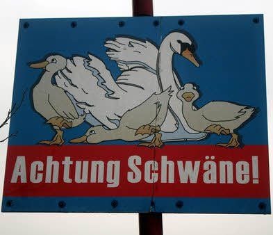 Dieses Schild warnt Autofahrer im Südharz vor Schwänen.