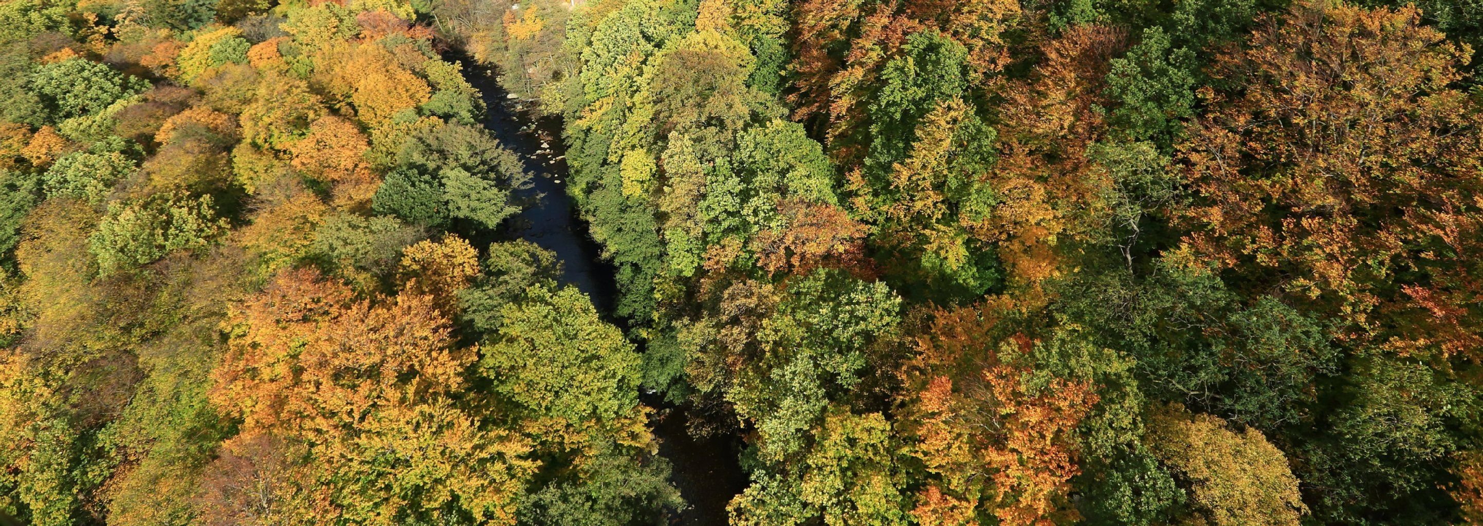Der Flussverlauf der Bode wird im Bodetal in Thale.