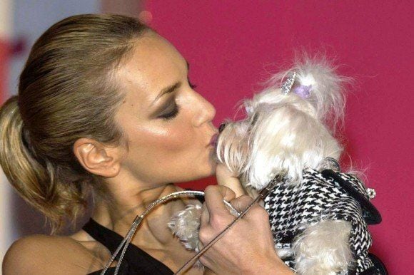 Laut einer Studie haben 35 Prozent der Hundebesitzer eine engere Beziehung zu ihrem Tier als zu einem Menschen.