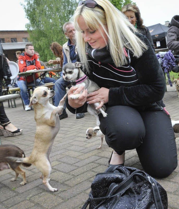 Nicole Fekete aus Leipzig ist das erste mal in Bobbe dabei und fühlt sich inmitten in der Hundebande wohl.