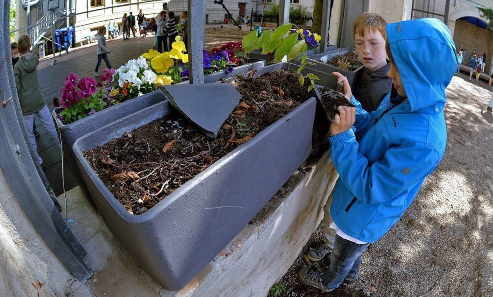Kaputte Blumenkästen, beschmierte Wände und angeschnittene Seile - Schüler und Lehrer haben ein Bild der Verwüstung entdeckt.