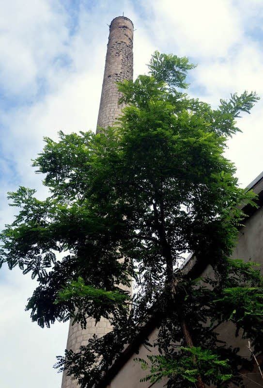 Am Mittwoch wird der Schornstein am Betonwerk Kemberg gesprengt.
