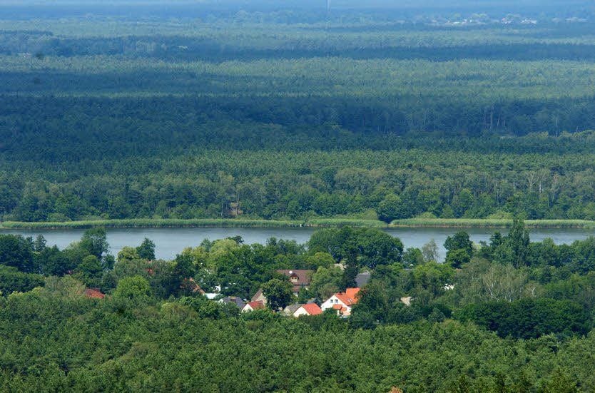 Am See und von viel Wald umgeben liegt Köthen/Märkisch Buchholz.