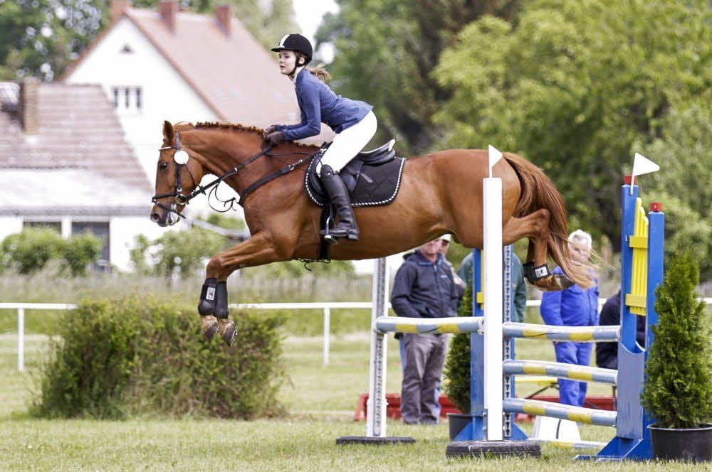 Julia Woidtke vom Langendorfer Reitverein belegte mit ihrem Oldenburger Cashman den vierten Platz beim A-Springen.